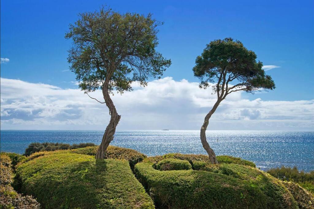 Blairgowrie Views..Front Beach Location Location. Villa Dış mekan fotoğraf